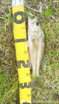 �֥�å��Х�