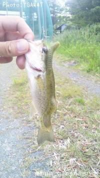 �֥�å��Х�