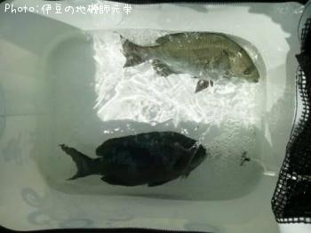 �����᥸��