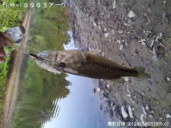 ¥Ö¥é¥Ã¥¯¥Ð¥¹