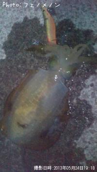 �����ꥤ��