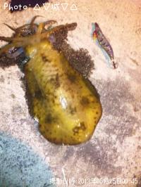 ¥¢¥ª¥ê¥¤¥«