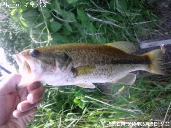 �֥�å��Х�