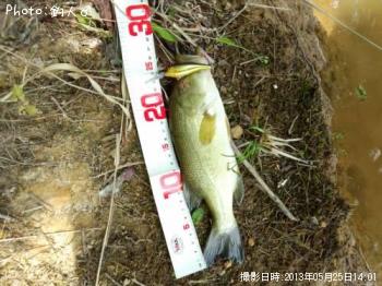 �顼���ޥ����Х�