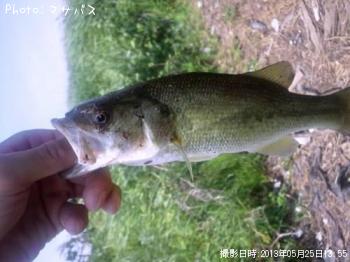 �֥�å��Х�