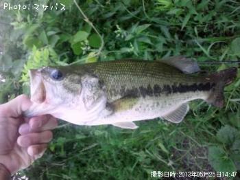 �֥�å��Х�