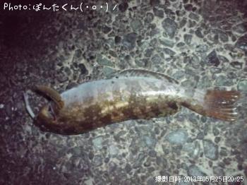 �����ʥ�