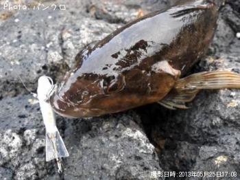 �����ʥ�