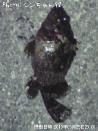 �����Υ���Х�