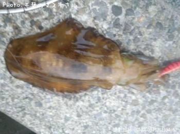 �����ꥤ��