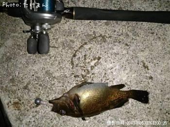 ¥¨¥¾¥á¥Ð¥ë