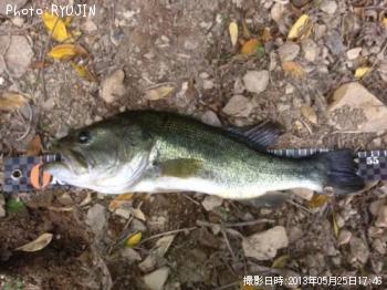 �֥�å��Х�