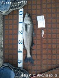 �����Х�