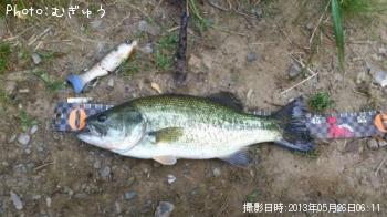 ¥Ö¥é¥Ã¥¯¥Ð¥¹