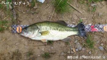 �֥�å��Х�