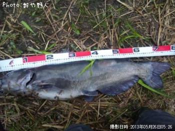 ����åȥե��å���