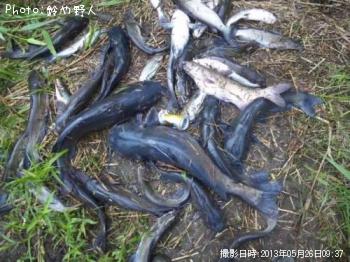 ����åȥե��å���