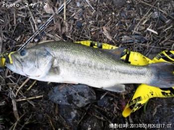 �֥�å��Х�