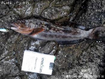 �����ʥ�