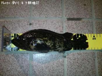 ¥¿¥±¥Î¥³¥á¥Ð¥ë