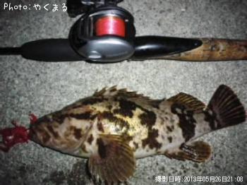 �٥å�������