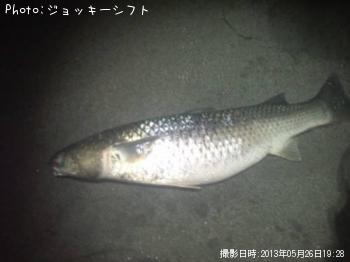 �ߥ祦����