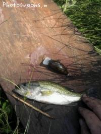 �֥�å��Х�