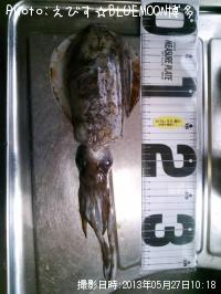 �����ꥤ��