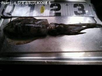 �����ꥤ��