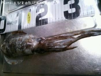 �����ꥤ��