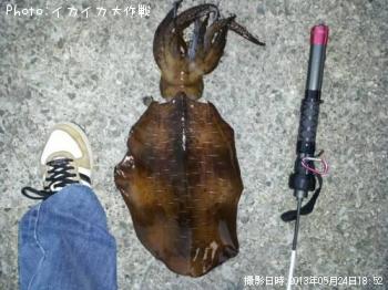 ¥¢¥ª¥ê¥¤¥«