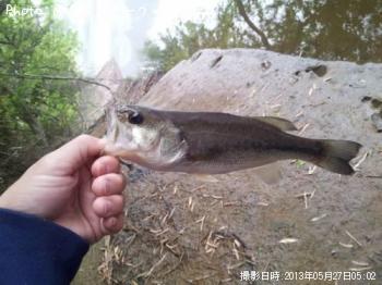 ¥Ö¥é¥Ã¥¯¥Ð¥¹