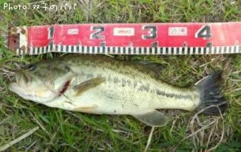 ¥Ö¥é¥Ã¥¯¥Ð¥¹