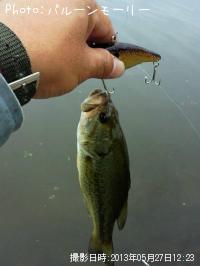 �֥�å��Х�