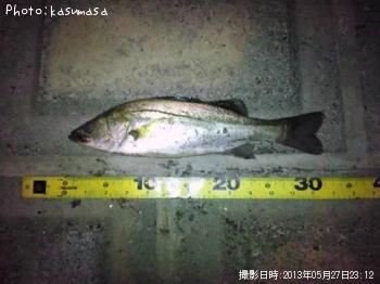 �����Х�