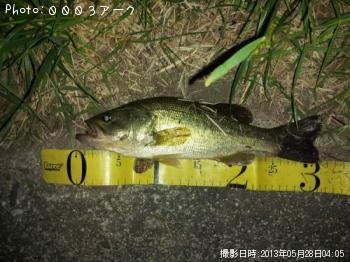 �֥�å��Х�