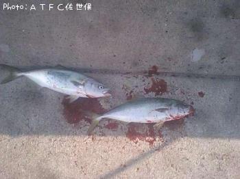 �䥺