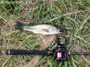 ¥Ö¥é¥Ã¥¯¥Ð¥¹