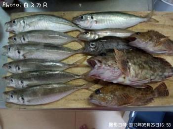 �������������Ȥ�