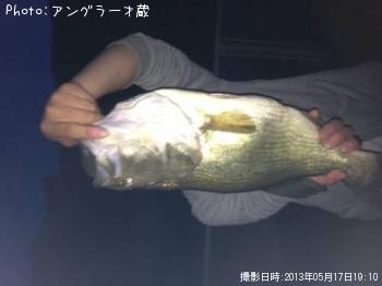 ¥Ö¥é¥Ã¥¯¥Ð¥¹