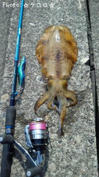 �����ꥤ��