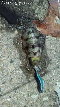 �����ꥤ��