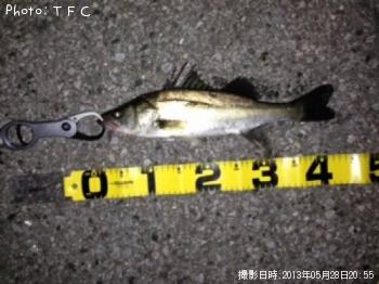 �����Х�