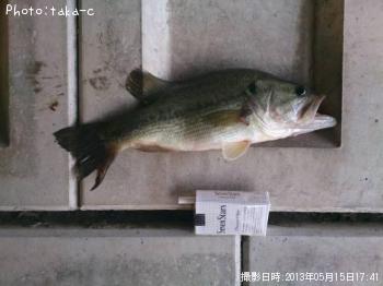 �֥�å��Х�