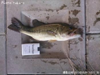 ¥Ö¥é¥Ã¥¯¥Ð¥¹