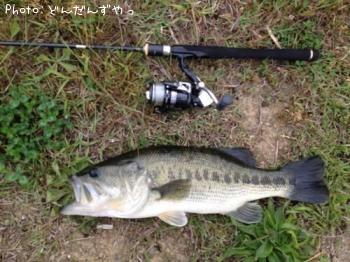 �֥�å��Х�