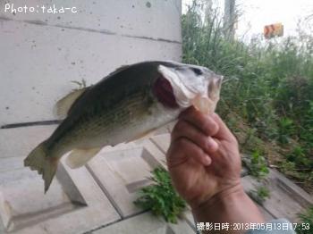 �֥�å��Х�