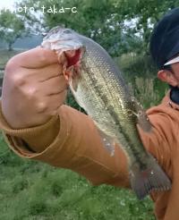 �֥�å��Х�