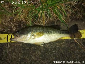 ¥Ö¥é¥Ã¥¯¥Ð¥¹