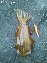 �����ꥤ��